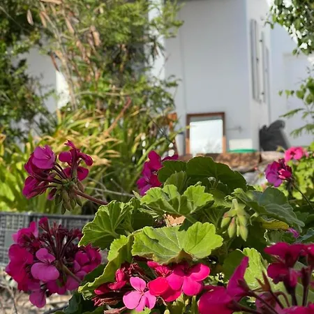 Apartamento Alesta *